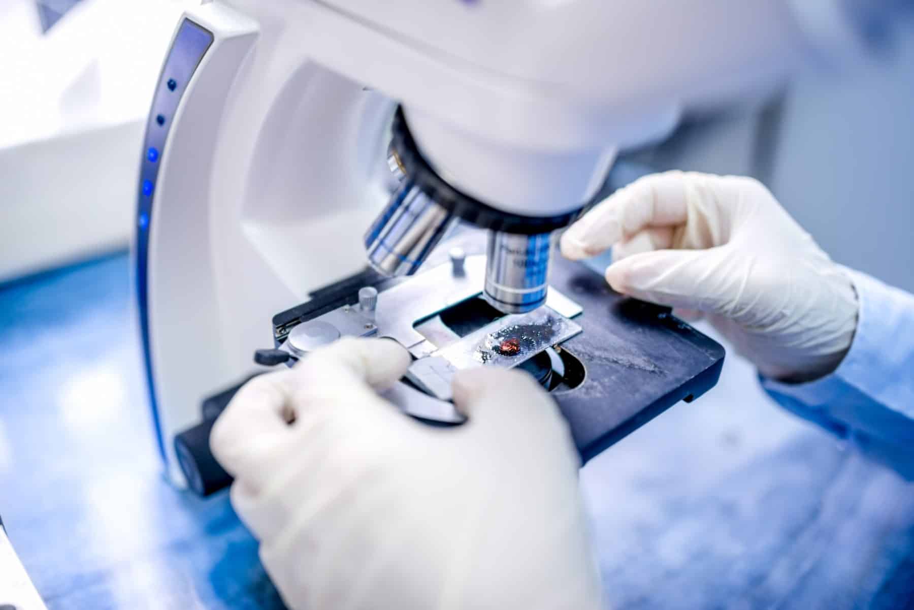 Gloved hands placing a slide under a laboratory microscope